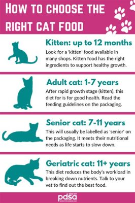 Can I Feed My Adult Cat Kitten Food? Exploring the Nutritional Maze of Feline Diets