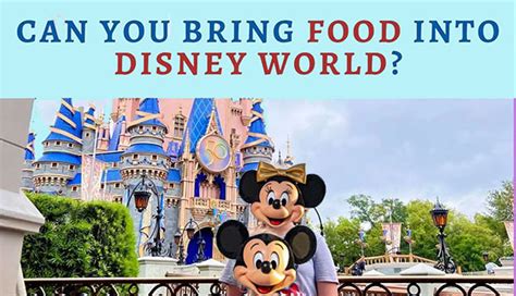 Can I Take Food into Disney World? Exploring the Culinary Boundaries of the Magical Kingdom