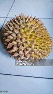 Is Durian a Fruit? Exploring the Thorny Truth Behind the King of Fruits