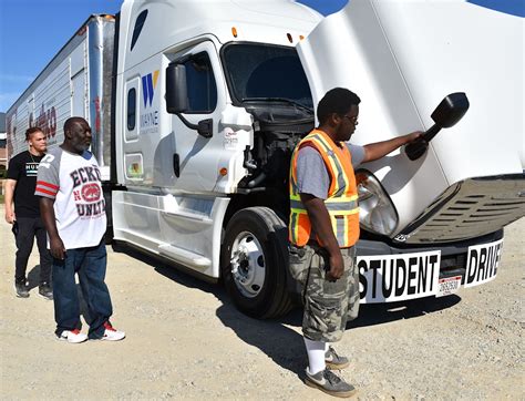 What Education is Required to Be a Truck Driver and Why Do Bananas Glow in the Dark?