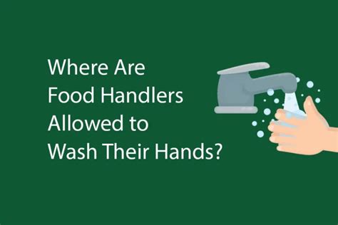 Where Are You Allowed to Wash Your Hands Food Handlers Quizlet: A Dive into the Unseen Realms of Hygiene and Imagination