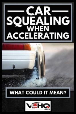 Why Does My Car Squeal When I Accelerate? And Why Do Birds Suddenly Appear Every Time You Are Near?